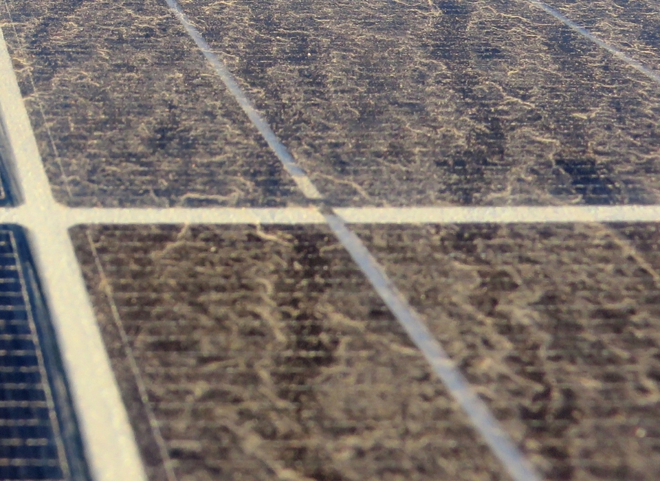 xr:d:DAGCdUwXyuI:9,j:3453559928819308556,t:24041505